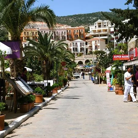 - 3 Bed With Large Private Pool Holiday home